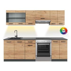 Vicco KUCHYŇSKÁ LINKA R-Line, Zlatý mocný dub/Antracit, 240 cm s pracovní deskou s páskem LED obraz