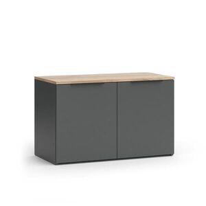 Vicco PŘÍBORNÍK Wido Antracit 80 x 50 cm se 2 dveřmi obraz