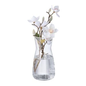 Relaxdays VÁZA Transparentní sklo 20 cm obraz