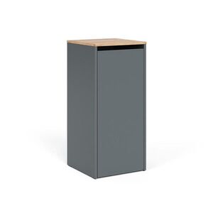 Vicco KOUPELNOVÁ SKŘÍŇKA Viktor Antracit/zlatý dub 40.2 x 88.2 cm s košem na prádlo obraz