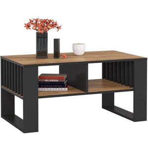 RAUMHIRSCH FURNITURE KONZOLOVÝ STOLEK dub Craft, černý 45/92/53 obraz
