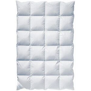 Billerbeck ZIMNÍ PŘIKRÝVKA, 135/200 cm, kachní prachové peří, kachní peří obraz