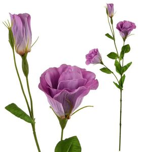 Mondex UMĚLÁ KVĚTINA, plast, violet obraz