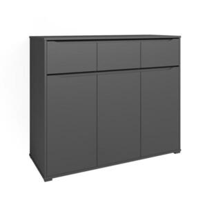 Vicco KREDENC Ruben Antracit 48 x 101.6 cm obraz