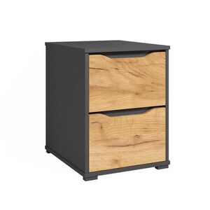 Vicco PŘÍBORNÍK Ruben Zlatý mocný dub 40.2 x 53.6 cm se zásuvkami obraz