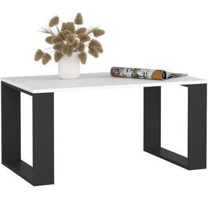 RAUMHIRSCH FURNITURE KONZOLOVÝ STOLEK Bílá, černá 45/92/53 obraz