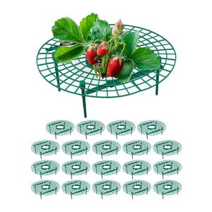 Relaxdays PODPĚRA Zelená pro jahody 20-dílná-sada plast 10x30 cm obraz