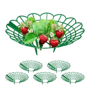 Relaxdays DRŽÁK zelený 6dílná sada plast 10x30 cm obraz
