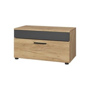 Vicco SKŘÍŇKA DO OBÝVACÍHO POKOJE Berno Zlatý dub power/antracit 70.8 x 38.9 cm s výklopnými dveřmi obraz