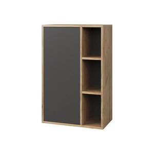 Vicco STĚNOVÁ POLICE Berno Zlatý dub power/antracit 50.1 x 78.4 cm se 2 uzavřenými přihrádkami obraz
