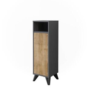 Vicco MIDI SKŘÍŇKA Leano Antracit/horský dub 30 x 97 cm s dveřmi obraz