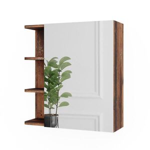 Vicco ZRCADLOVÁ SKŘÍŇKA Fynn Oldstyle 62 x 64 cm obraz