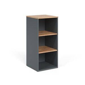 Vicco MIDI SKŘÍŇKA Viktor Antracit/zlatý dub 40.2 x 88.2 cm obraz