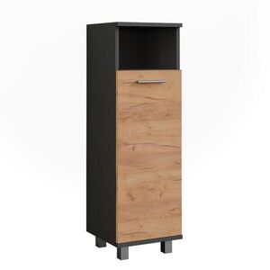 Vicco MIDI SKŘÍŇKA Ilias Zlatý dub power/antracit 30.2 x 95 cm se 2 dveřmi obraz