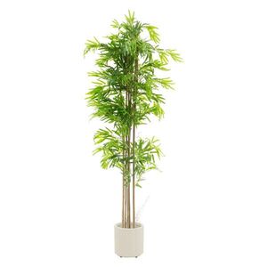 ML-DESIGN UMĚLÝ BAMBUS 210 cm s kmenem z pravého dřeva obraz