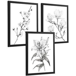 PLAKAT Sada 3 obrázků květin. Dekorativní nástěnné tisky Květiny tužkou. botanický plakát na zeď. Noridco květinové malby.Černý rám velikosti A4 obraz