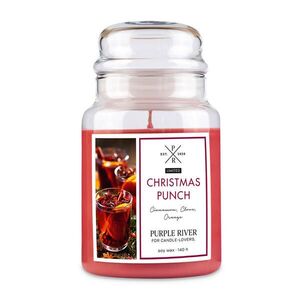 VONNÁ SVÍČKA Bílá Christmas Punch sklo sójový vosk obraz