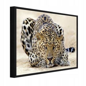 Wallarena ZARÁMOVANÉ obrazy Lampard Animals Béžová 120x80 cm obraz