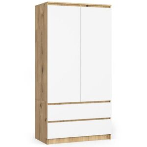 RAUMHIRSCH FURNITURE SKŘÍŇ dub Artisan, bílá 180/90/51 obraz
