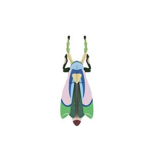 Studio Roof PAPÍROVÁ 3D NÁSTĚNNÁ DEKORACE BROUK, 7/33 CM obraz