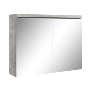 Badplaats ZRCADLOVÁ SKŘÍŇKA Paso betonově šedá - 80 x 20 x 60 cm obraz