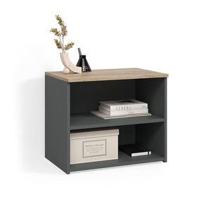 Livinity® NÍZKÝ NÁBYTEK POD TELEVIZI Piave Anthracite/Sonoma 60 x 50 cm se 2 přihrádkami obraz