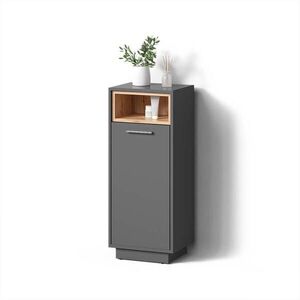 Livinity® STŘEDNÍ SKŘÍŇKA Temo Antracit 30 x 93 cm obraz