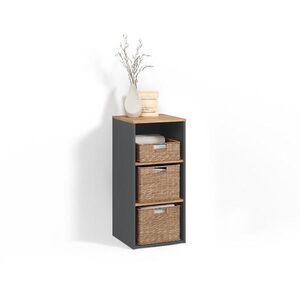 Livinity® SKŘÍŇKA NA PRAČKU Paolina Antracit/zlatý dub 40.2 x 88.2 cm obraz