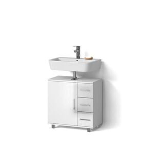 Livinity® DOLNÍ SKŘÍŇKA POD DŘEZ Eisak Bílá vysoký lesk 60 x 60.8 cm obraz