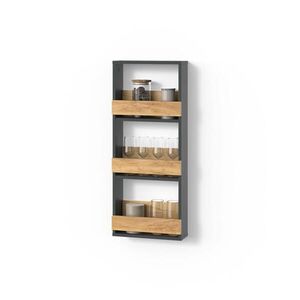 Livinity® STOJAN NA SKLENIČKY NA VÍNO Regusa Zlatý dub power/antracit 40 x 98 cm obraz