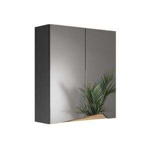 Vicco KOUPELNOVÁ ZRCADLOVÁ SKŘÍŇKA Marelle Antracit/Artisan 60 x 67 cm s výškově nastavitelnou policí obraz