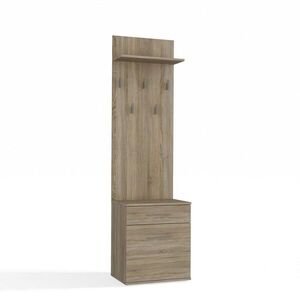RAUMHIRSCH FURNITURE SKŘÍŇ NA BOTY Sonoma 50/180/35 obraz