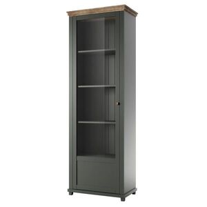 MASSENO VITRÍNA EVANDRO 71/200/42 cm Zelená obraz