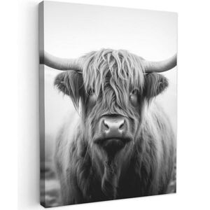 MuchoWow OBRAZ NA PLÁTNĚ Skotský horal - Mlha - Černá - Bílá 60x80 cm obraz