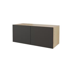 ALTDECOR NÍZKÁ komoda ELIO-W 100 x 40 x 40 cm – Artisan / černá obraz