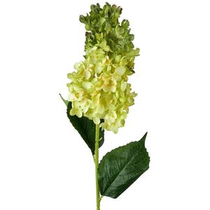 Mondex UMĚLÁ KVĚTINOVÁ VĚTEV Viridis, 80 cm obraz