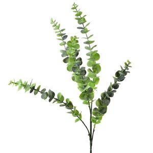 Mondex UMĚLÁ VĚTEV Eukalyptus 80 cm, zelená obraz