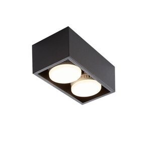 Nettlife LED stropní svítidlo Harmony 2-světlo 20/10/8 cm obraz
