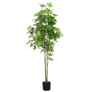 Ambia Home UMĚLÁ ROSTLINA bonsaj 150 cm obraz