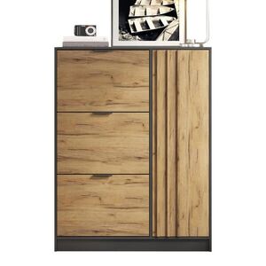FLIEKS BOTNÍK 100x30x130cm MDF 3 Výklopy Černý obraz