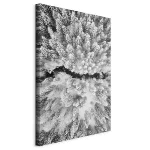 artgeist MALBA NA PLÁTNĚ, krajina a příroda, stromy, 40/60/1, 2 cm obraz