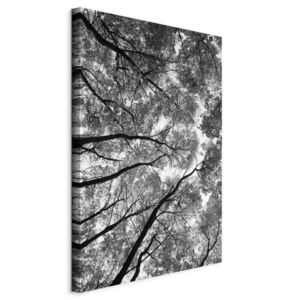 artgeist MALBA NA PLÁTNĚ, krajina a příroda, stromy, 40/60/1, 2 cm obraz