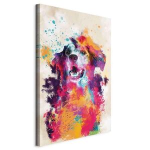 artgeist MALBA NA PLÁTNĚ, abstraktní, zvířata, 40/60/1.2 cm obraz