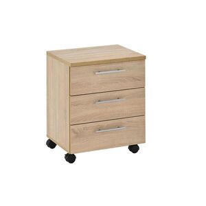 Carryhome POJÍZDNÝ KONTEJNER, 40/56/39 cm obraz