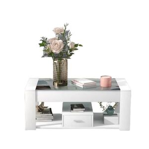 OKWISH KONFERENČNÍ stolek 100/50/40 cm bílý z dřevotřísky se skleněnou deskou a úložným prostorem obraz