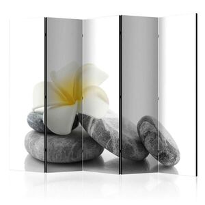 artgeist PARAVÁN, 225/172/3 cm obraz