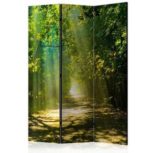 artgeist PARAVÁN, 135/172/3 cm obraz