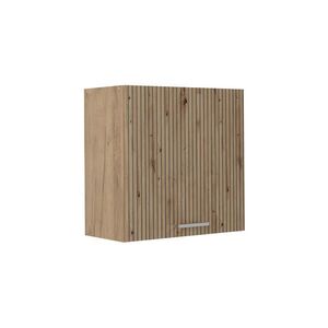 Vicco VĚŠÁK NA STĚNU R-Line, Řemeslný dub/Zlatý mocný dub, 60 cm s 1 dvířky obraz