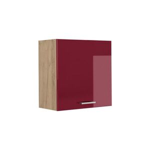 Vicco VĚŠÁK NA STĚNU R-Line, Červená vysoký lesk/Zlatý mocný dub, 60 cm s 1 dvířky obraz