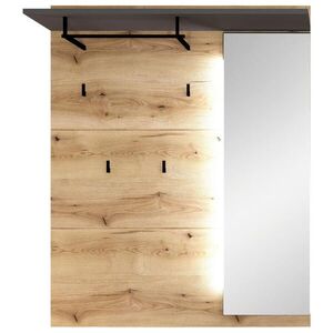 Xora ŠATNÍ PANEL, barvy grafitu, barvy dubu, 120/149/30 cm obraz